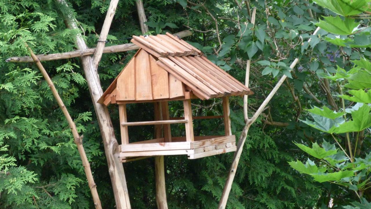 Pod Sloncem Homestay Zakopane